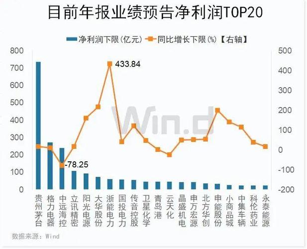业绩预告选股策略_A股市场业绩增长分析_2024年A股上市公司业绩预告