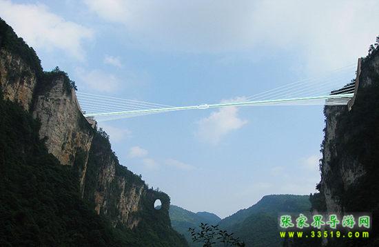 张家界大峡谷玻璃桥_世界最高玻璃桥_张家界玻璃桥叫停