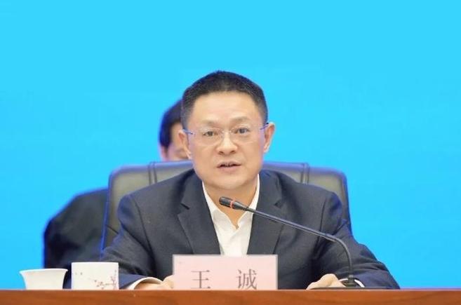 王诚被调查