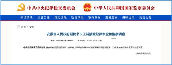 安徽省人民政府副秘书长王诚违纪违法_王诚简历_蚌埠市商务局副局长