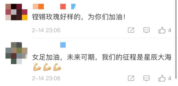 全国女足超级联赛揭幕_甘肃卫视中超女解说_中国女足联赛关注度