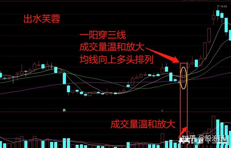 芙蓉出水涨停板技巧_出水芙蓉K线形态_出水芙蓉k线选股器