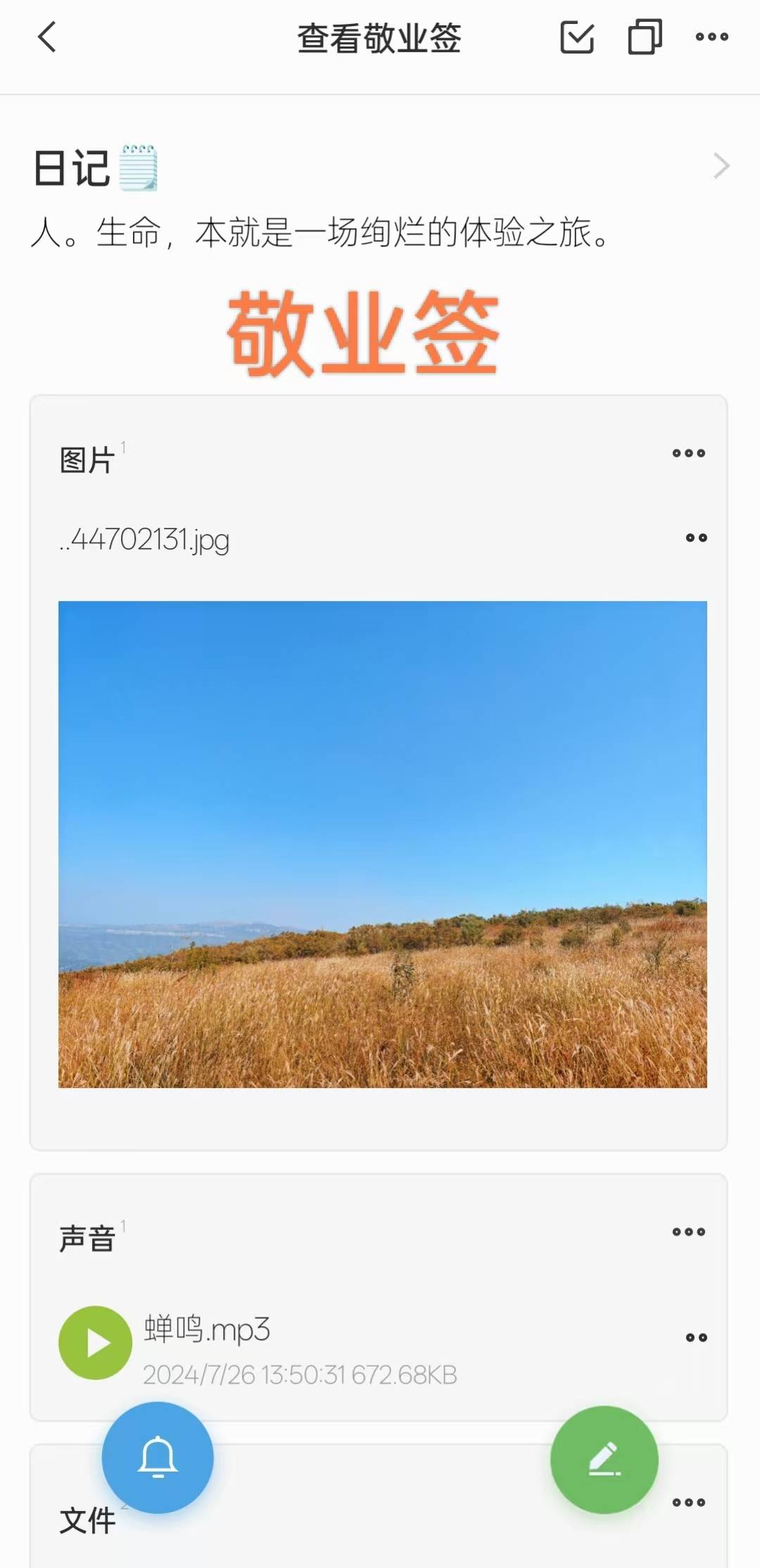 苹果哪款记账软件好用_安卓苹果日记软件推荐_手机日记本app推荐