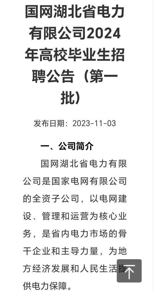 国家电投集团湖北绿动新能源有限公司招聘_国家电力投资集团公司湖北分公司招聘_国电投湖北分公司待遇
