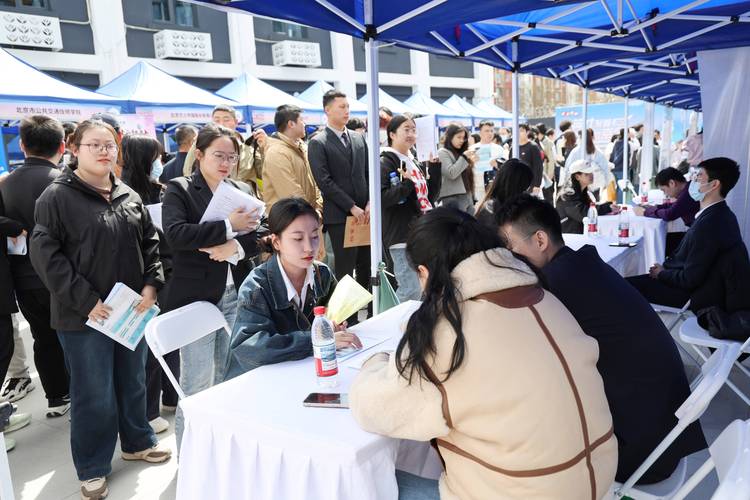 天津市河北区举办高校毕业生专场招聘会