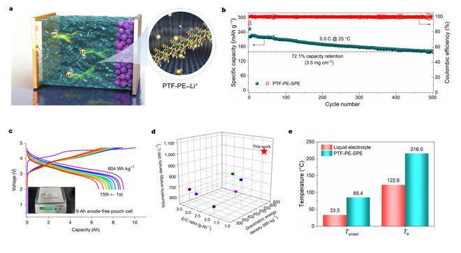 固体聚合物电解质_新型含氟聚醚电解质_富阴离子溶剂化结构