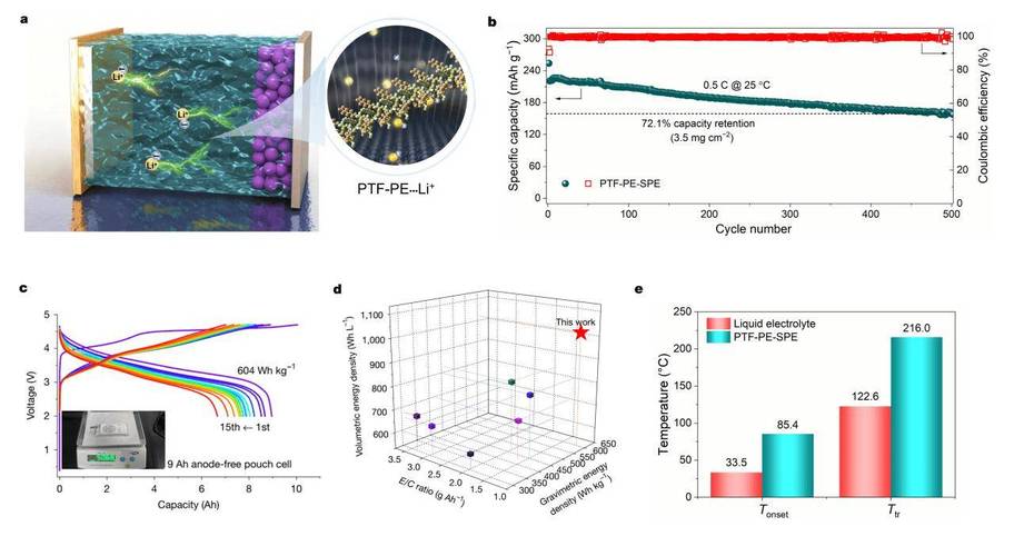 新型含氟聚醚电解质_富阴离子溶剂化结构_固体聚合物电解质