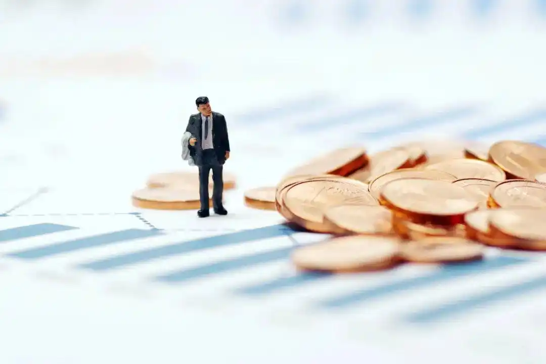 富荣中短债基金单日下跌12%_网红债基踩雷原因分析_短期债券基金