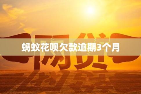 支付宝花呗逾期后果_蚂蚁花呗分期买车_降低芝麻信用分影响