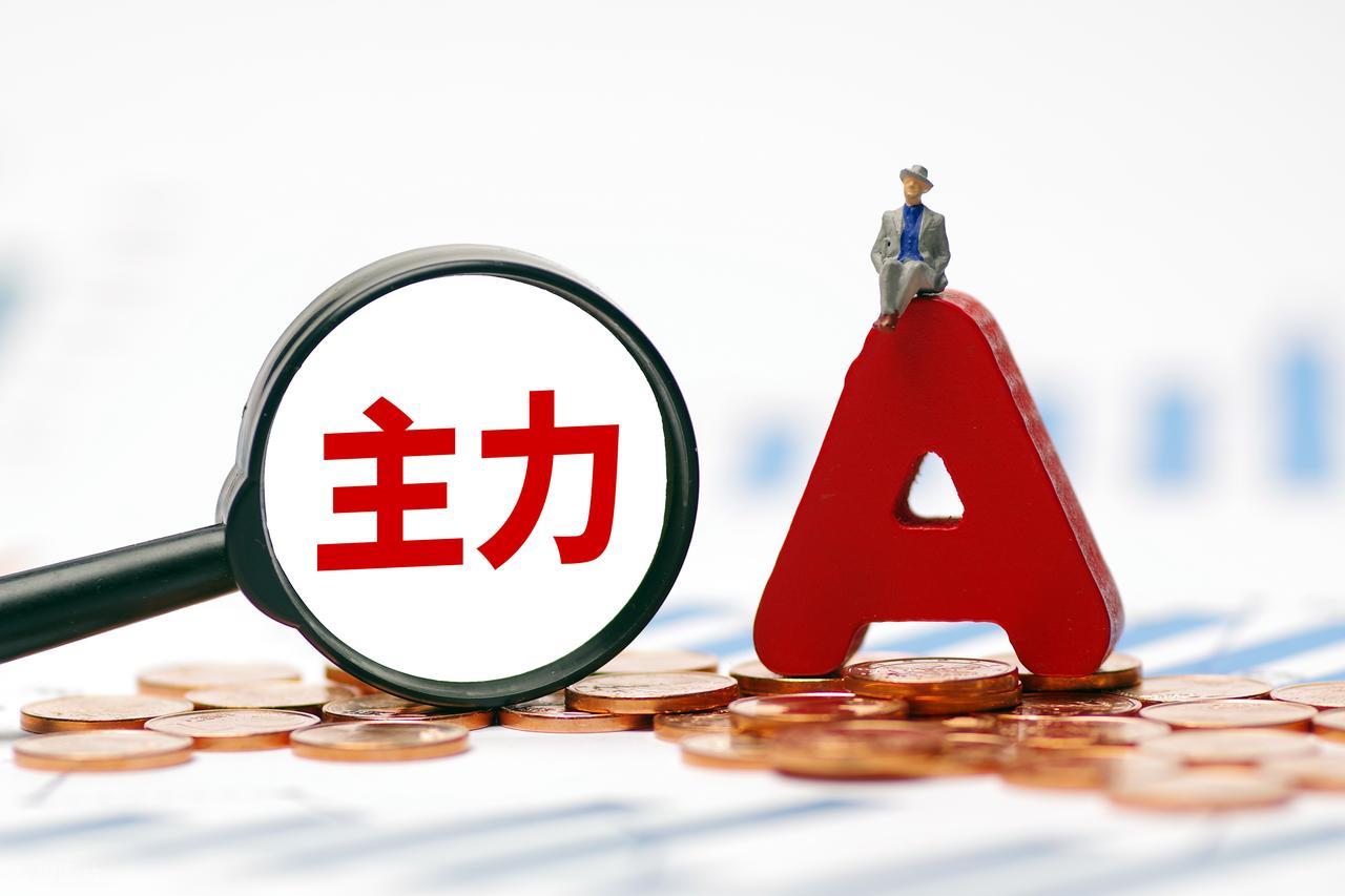 识别主力资金进出信号_主力资金净额净量同步判断_大单资金流入指标