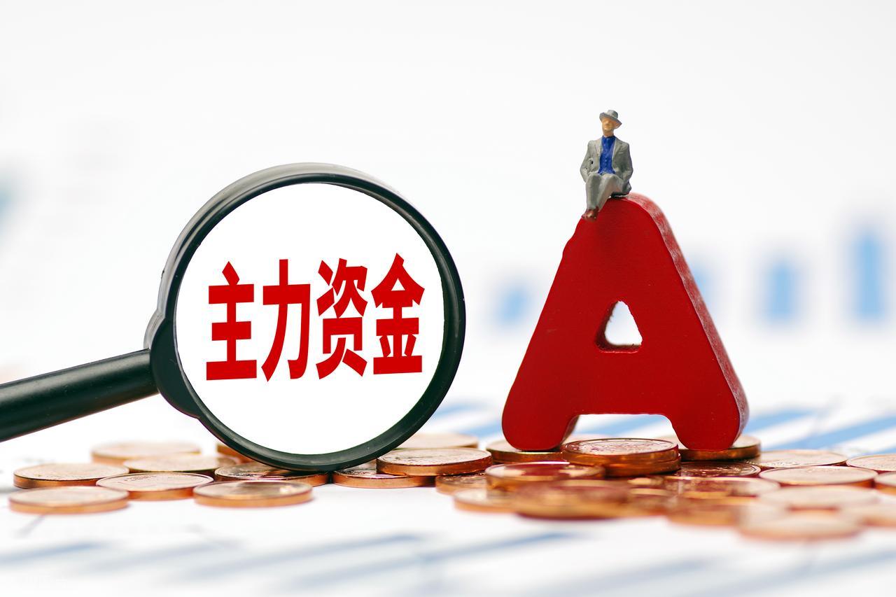 主力资金净额净量同步判断_识别主力资金进出信号_大单资金流入指标