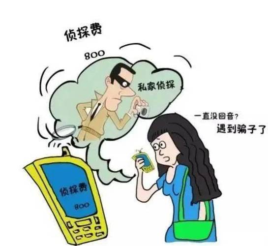 私家侦探平水 调查_侵犯公民个人信息罪_婚外情调查非法行为