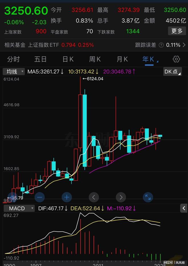 蓝筹股高科技股股价透支_2025年股市行情走势图_大盘指数震荡格局
