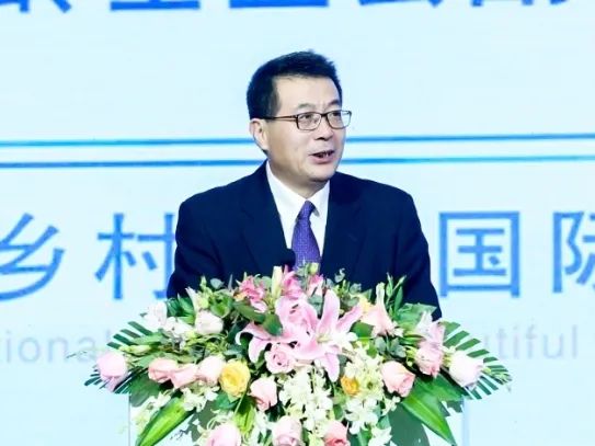 2020美丽乡村博鳌国际峰会 王家瑞 乡村振兴 美丽共享_美丽乡村博鳌论坛