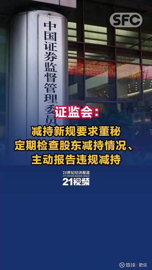 贺宛男：减持新规还需从严落实