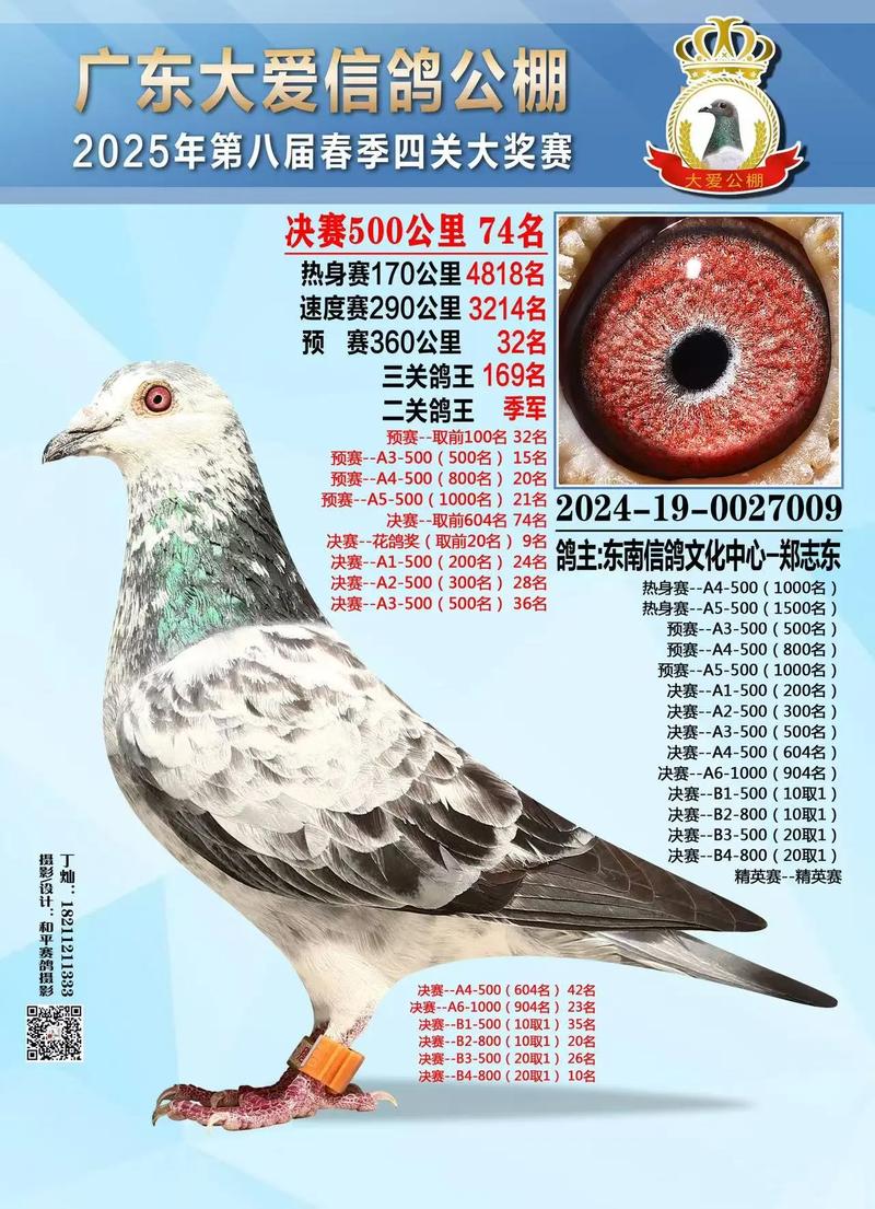 安徽天宇二关：3790羽赛鸽争夺，冠军揭晓