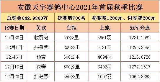 魔鬼训赛敢打敢拼 安徽天宇首届秋季获奖鸽来了