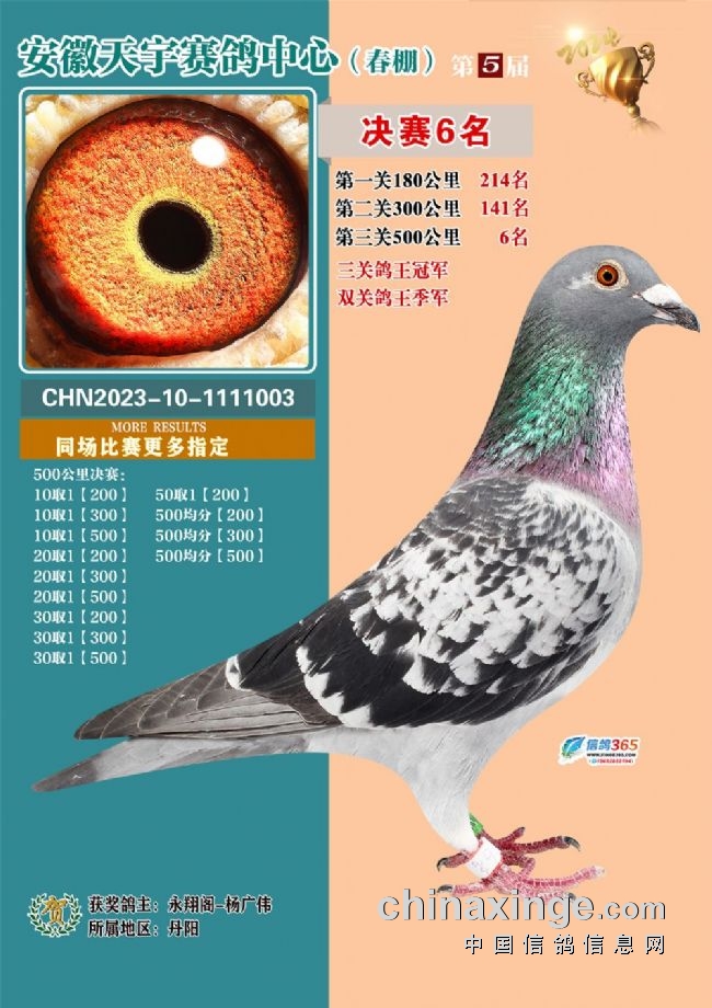 安微天宇鸽赛中心_安徽天宇赛鸽中心决赛_安徽天宇赛鸽中心拍卖会