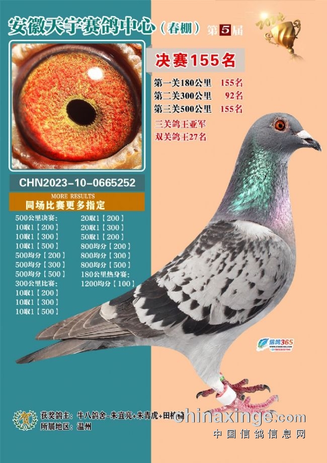 安徽天宇赛鸽中心拍卖会_安微天宇鸽赛中心_安徽天宇赛鸽中心决赛