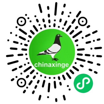 安徽天宇赛鸽中心拍卖会_安微天宇鸽赛中心_安徽天宇赛鸽中心决赛