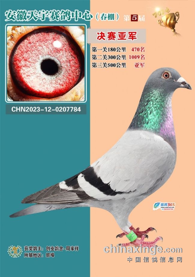 安徽天宇赛鸽中心决赛_安微天宇鸽赛中心_安徽天宇赛鸽中心拍卖会