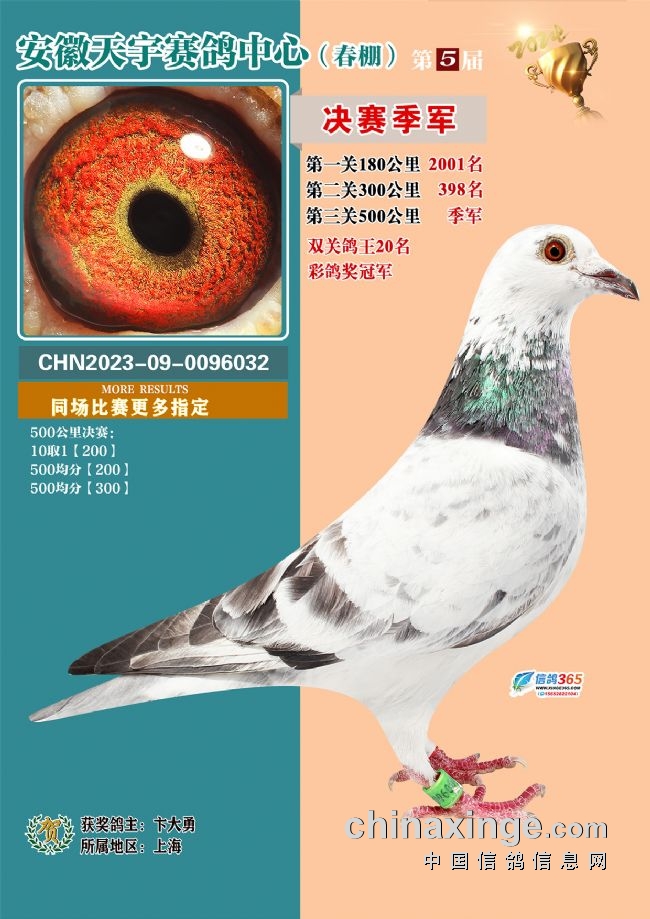 安徽天宇赛鸽中心决赛_安徽天宇赛鸽中心拍卖会_安微天宇鸽赛中心