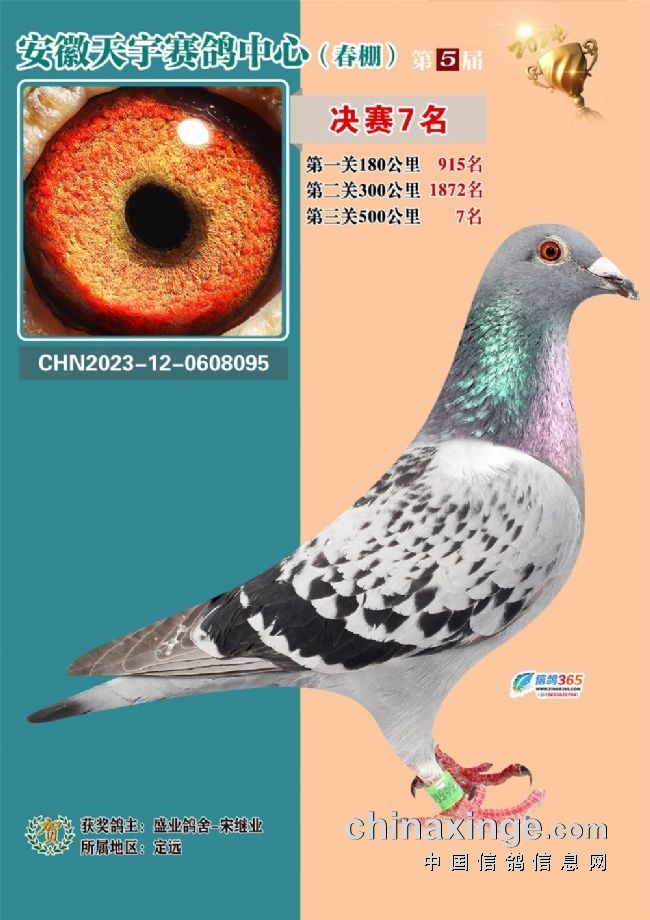 安徽天宇赛鸽中心决赛_安徽天宇赛鸽中心拍卖会_安微天宇鸽赛中心