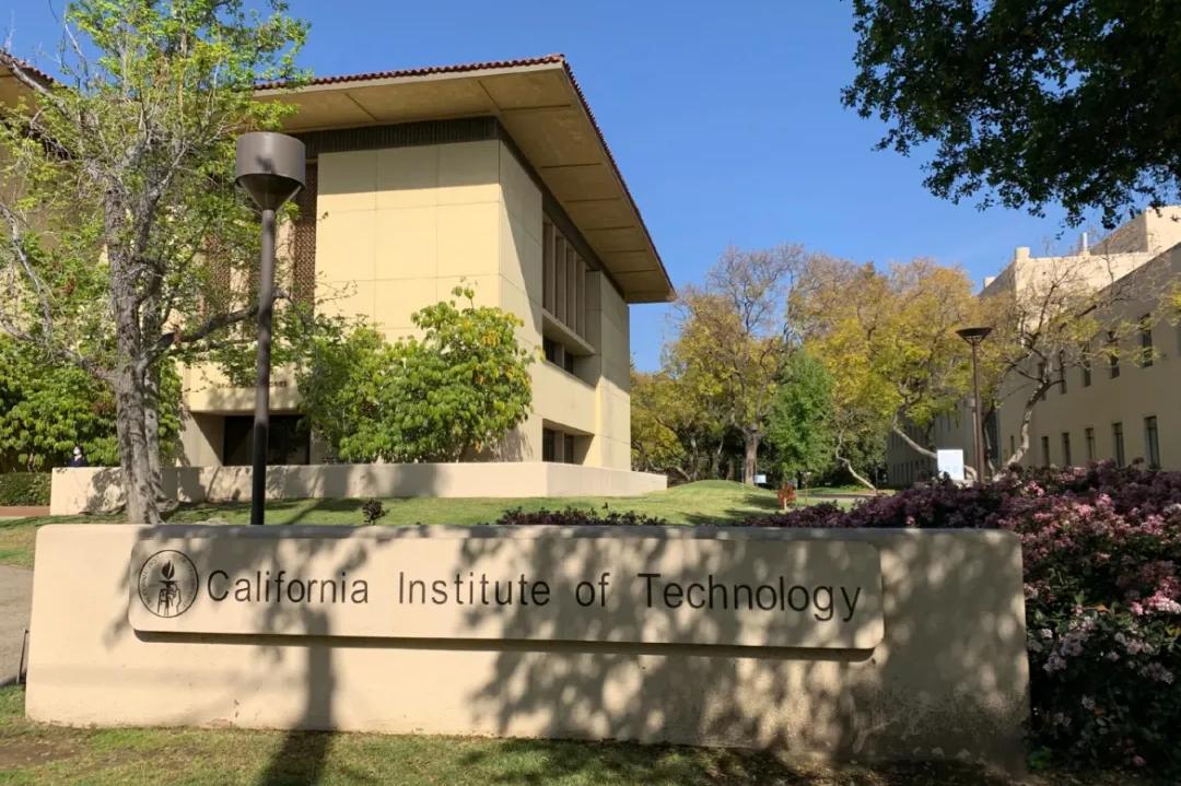 陈天桥 传奇游戏 争议人生_陈天桥妻子雒芊芊引关注