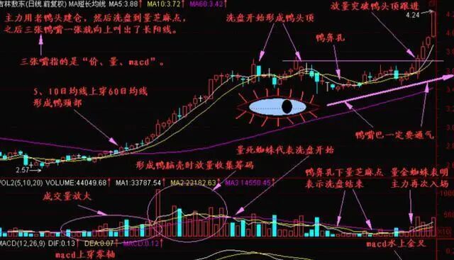 老鸭头一般涨幅是多少_老鸭头战法选股_股票盈利模式