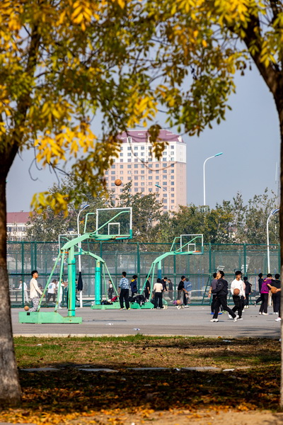 天津职业技术师范大学_天津职业技术师范大学博士点_天津中专升大专学校