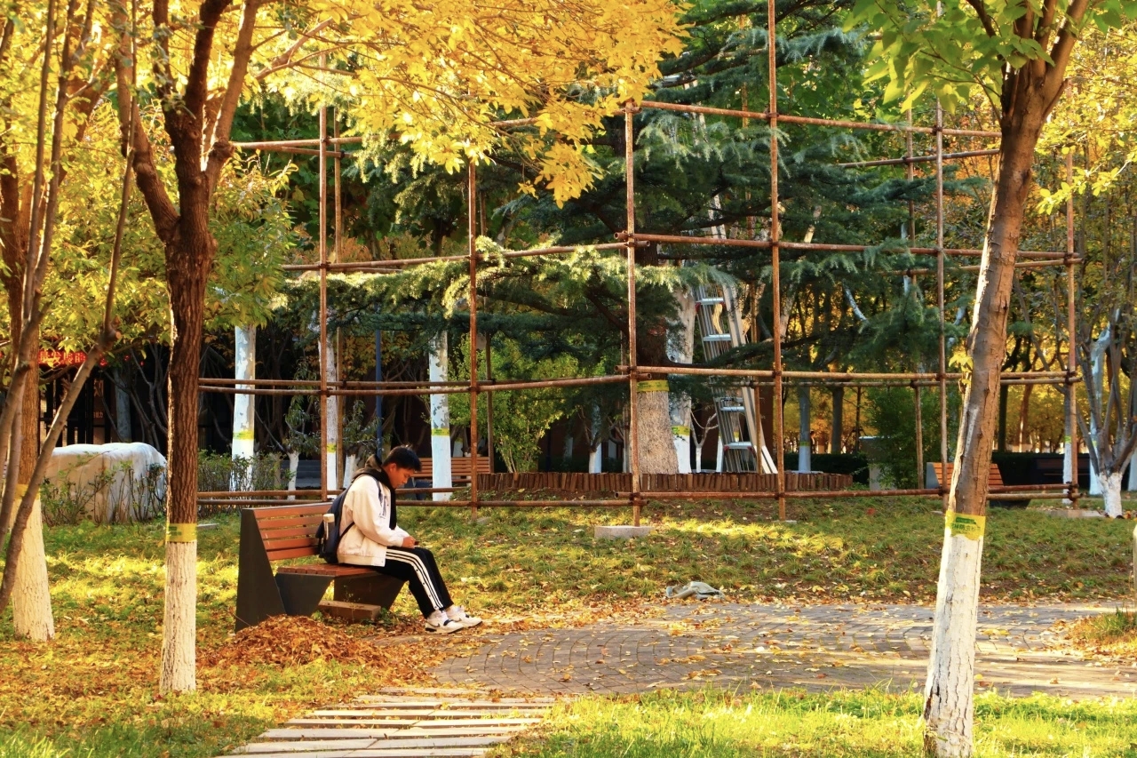 天津中德应用技术大学本科招生_天津中专升大专学校_天津中德应用技术大学专业设置