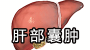 清华大学国学院_陈寅恪 清华大学 四大导师 鲁迅 陈寅恪 事迹