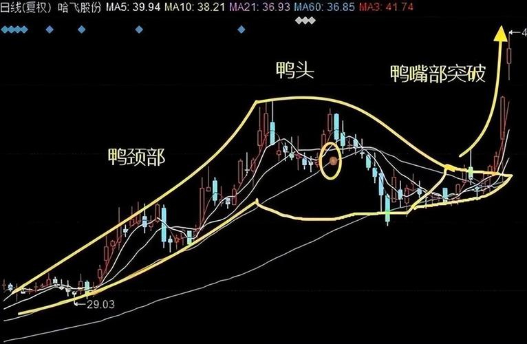 鸭头上攻形态识别_什么样老鸭头形态图好_股票主升浪资金推动