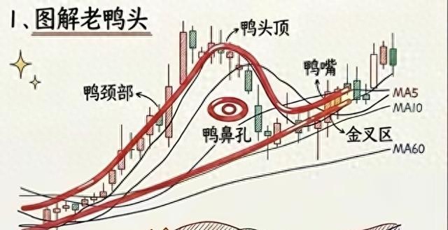 千金难买老鸭头：主力拉升前的“黄金信号”，散户也能抓准