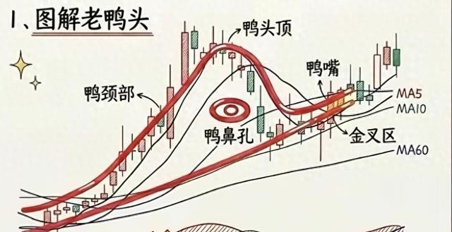 什么样老鸭头形态图好_老鸭头形态识别_洗盘出货区分