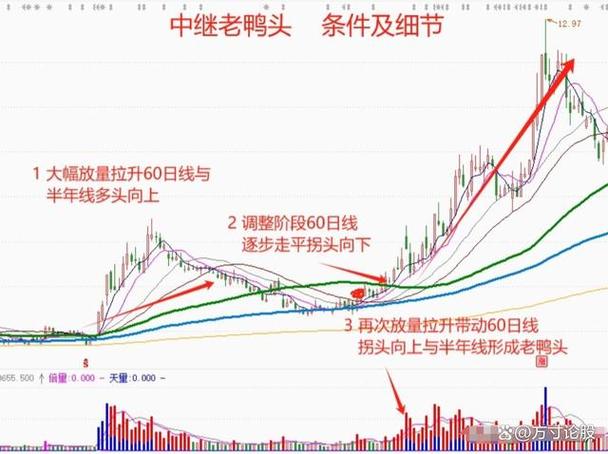 什么样老鸭头形态图好_老鸭头形态识别_洗盘出货区分