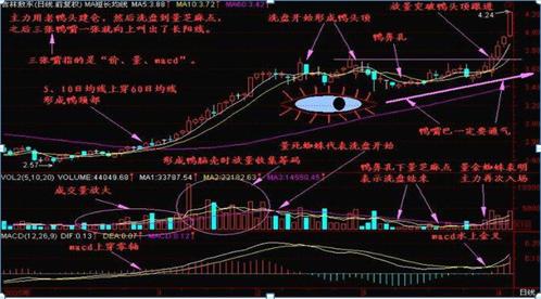 老鸭头战法详解_什么样老鸭头形态图好_老鸭头形态识别