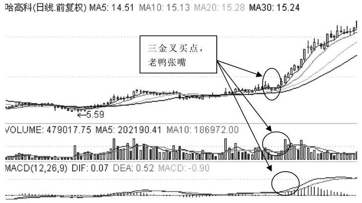 老鸭头形态识别_什么样老鸭头形态图好_老鸭头战法详解