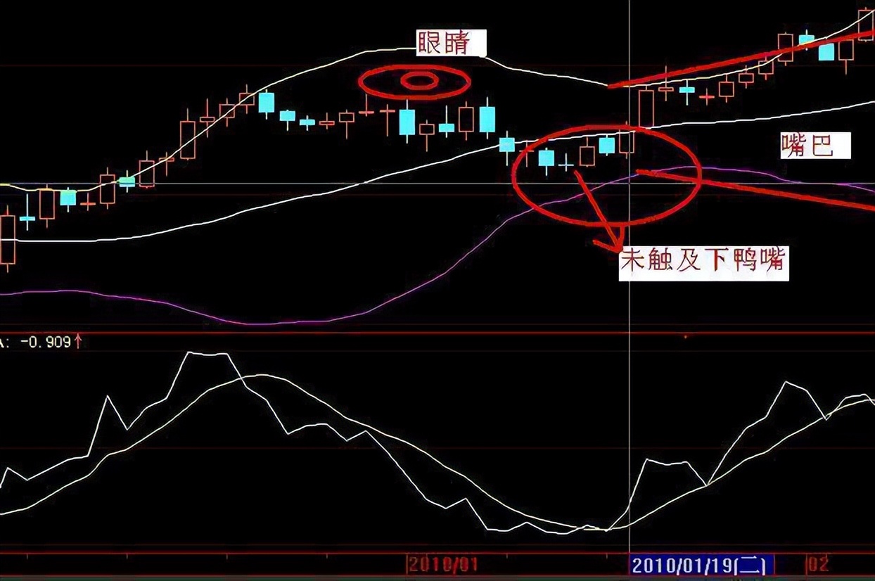 什么样老鸭头形态图好_老鸭头形态识别_老鸭头战法详解