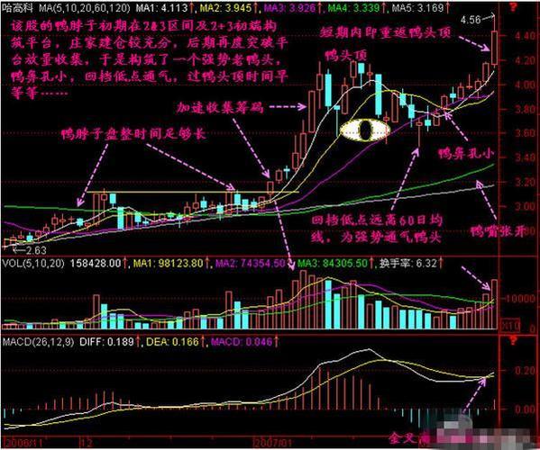 鸭颈部长尾均线交易_什么样老鸭头形态图好_鸭头顶股价反弹信号