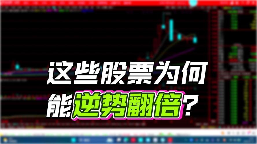 上证和深证哪个好_上证交易所与深证交易所交易结构差异_上证交易所与深证交易所区别